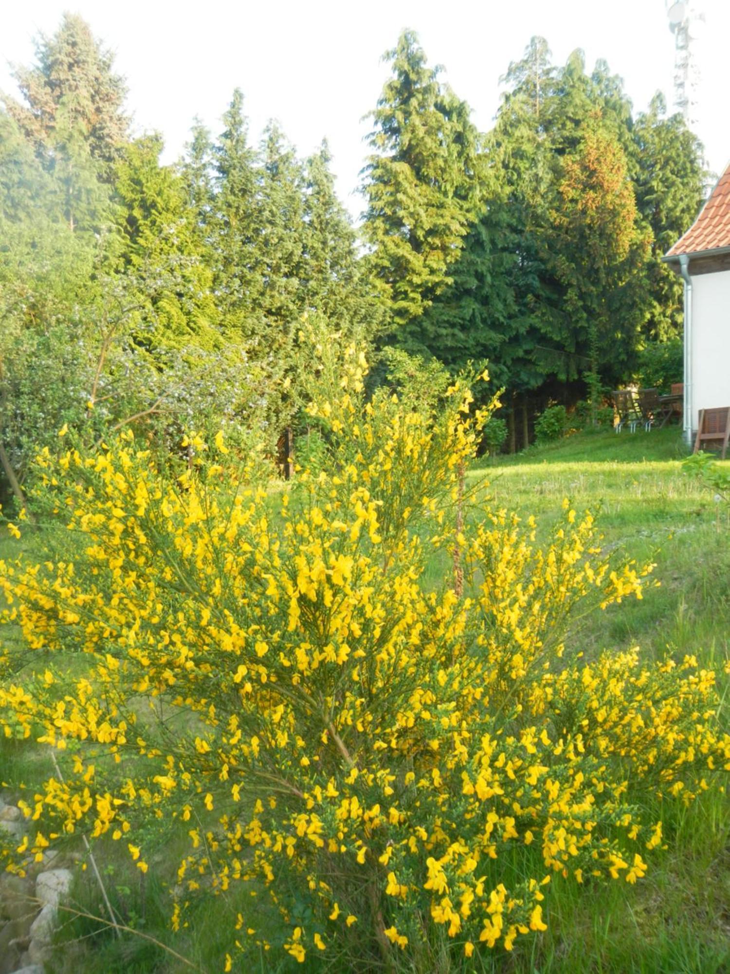 Ferienlandhaus Zempow Exterior foto